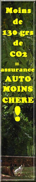 constat amiable auto