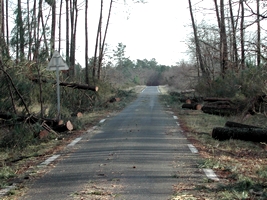 Que faire en cas de tempte ou de catastrophe naturelle